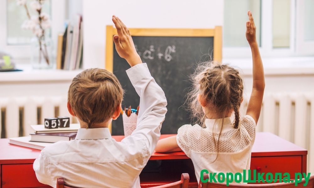 раздельное обучение мальчики и девочки минусы и плюсы