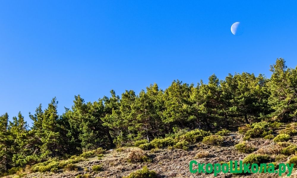 почему луну видно днем как объяснить ребенку