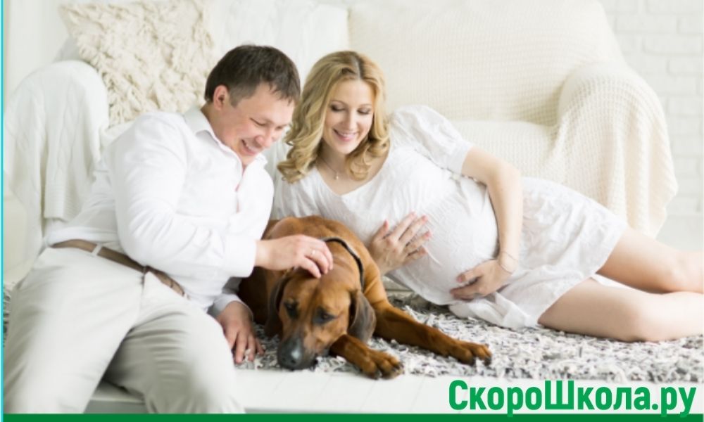 причины задержки плохой речи из-за собаки