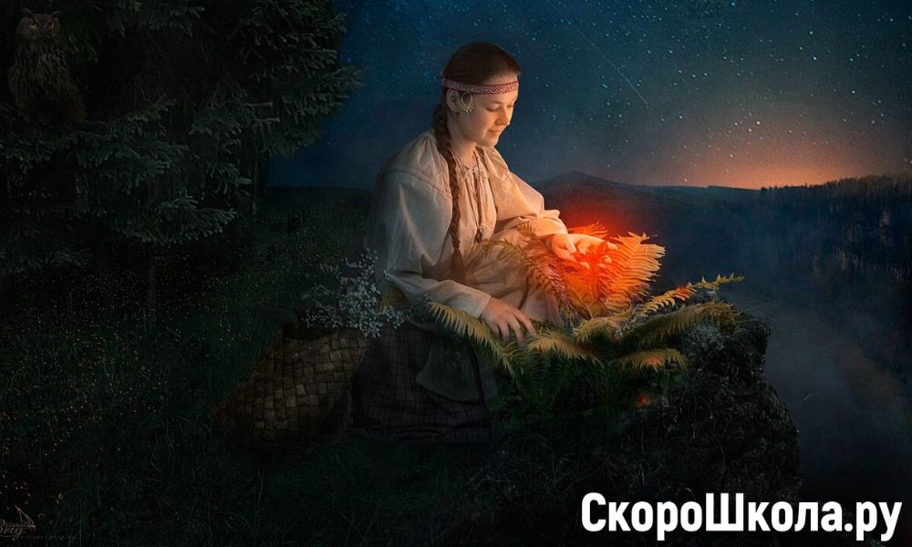 папоротник в купальскую ночь