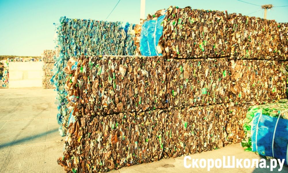 популярные профессии в будущем