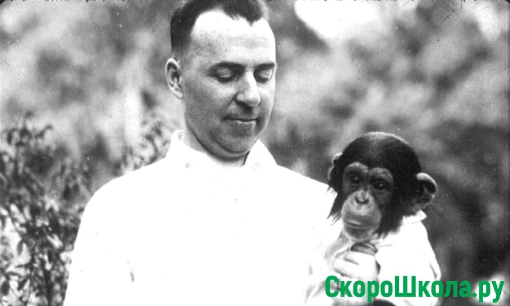 теория дарвина опровергнута