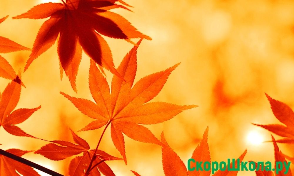 описание осени для детей