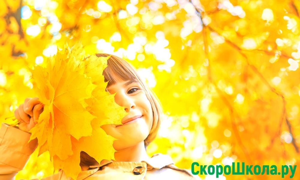 детям об осени в подготовительной группе