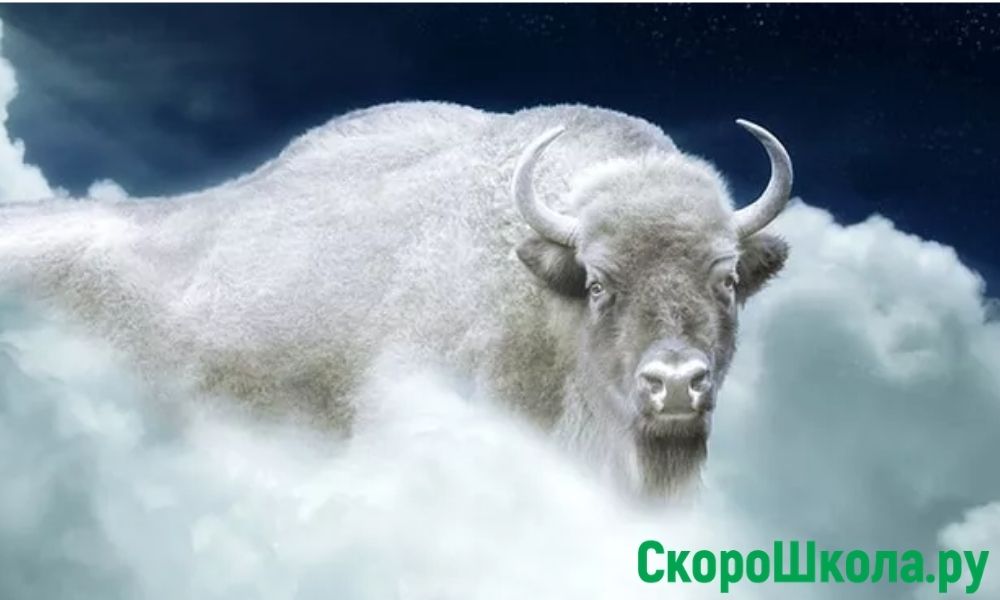 новый год 2021 год какого животного