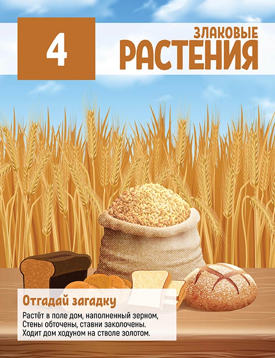 Обложка к главе