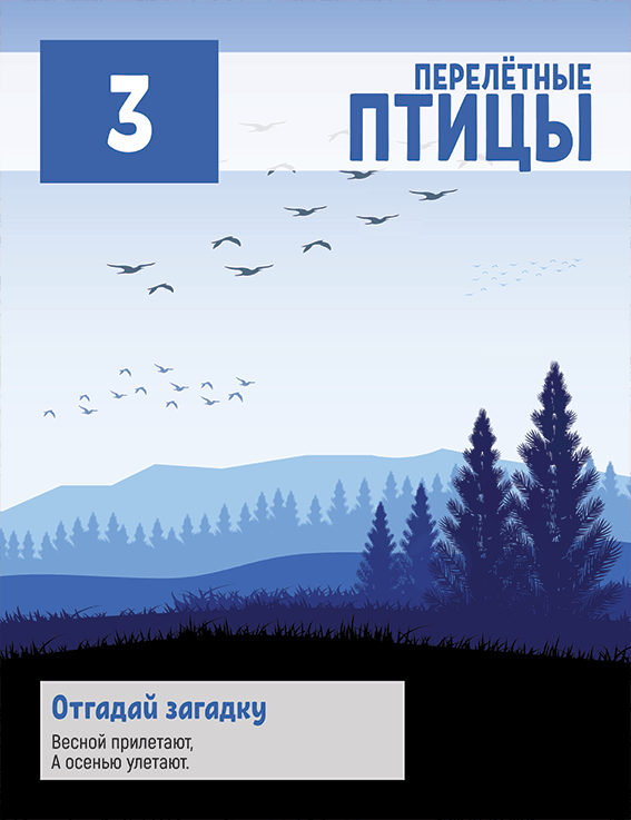 Обложка к главе Перелётные птицы. Книги #3 серии Школа не за горами